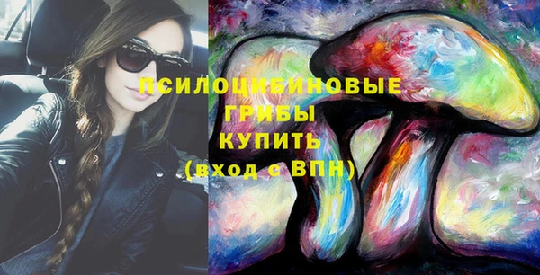 PSILOCYBIN Абинск